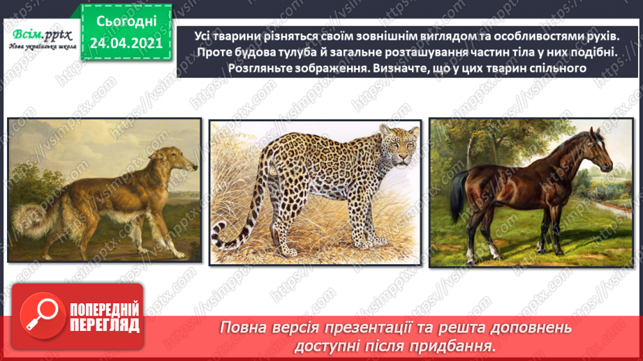 №18 - Анімалістичний жанр. Зображення веселого левенятка або мрійливого слоника (на вибір)13