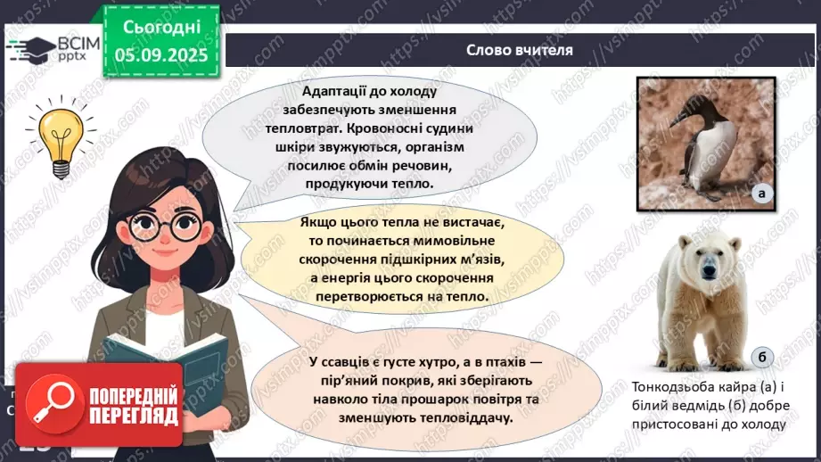 №007-8 - Екологічні фактори. Адаптації. Популяція та її характеристики.12 №007-8 - Екологічні фактори. Адаптації. Популяція та її характеристики.12