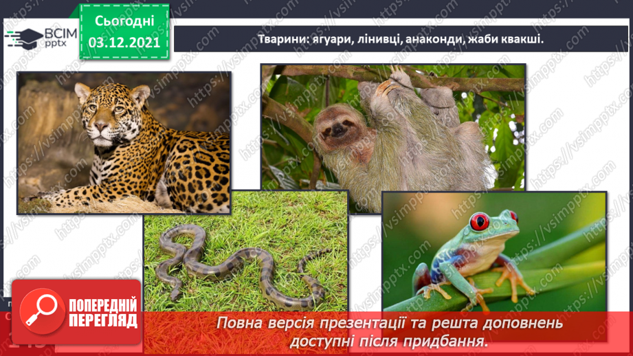 №044 - У чому полягають неповторні риси рослинного й тваринного світу Південної Америки?7