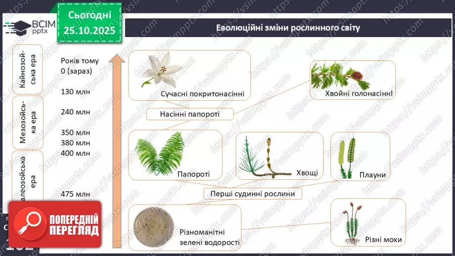 №029 - Загальний огляд еволюції рослин. Порівняння особливостей мохів, папоротей, голонасінних і покритонасінних рослин.12 №029 - Загальний огляд еволюції рослин. Порівняння особливостей мохів, папоротей, голонасінних і покритонасінних рослин.12