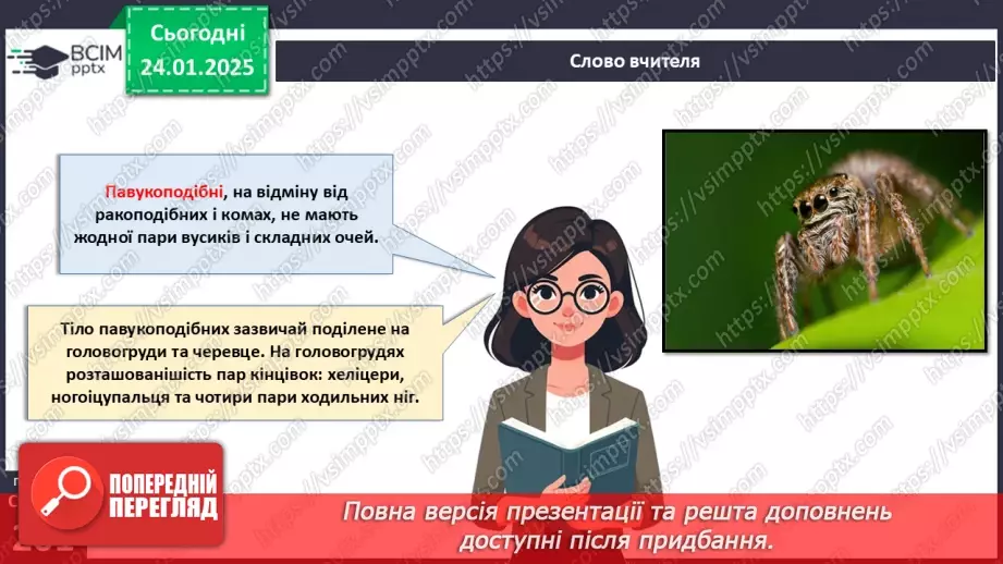 №58 - Павукоподібні.5