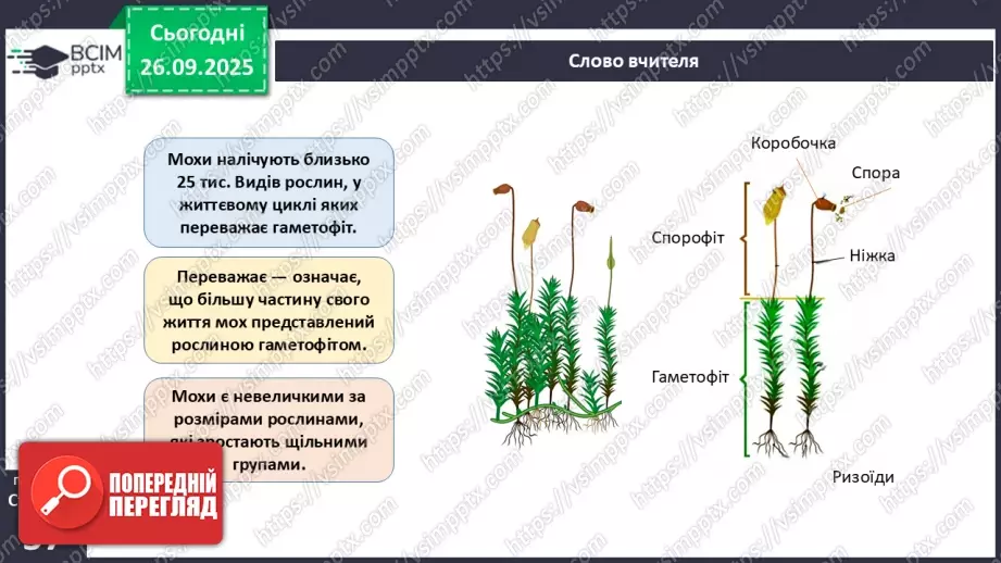 №017 - Вищі спорові рослини: мохи та плауни. Їхнє значення в екосистемах і використання18 №017 - Вищі спорові рослини: мохи та плауни. Їхнє значення в екосистемах і використання18