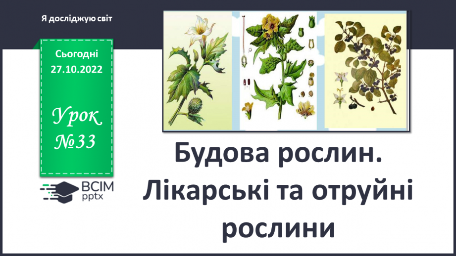 №033 - Будова рослин. Лікарські та отруйні рослини.0 №033 - Будова рослин. Лікарські та отруйні рослини.0
