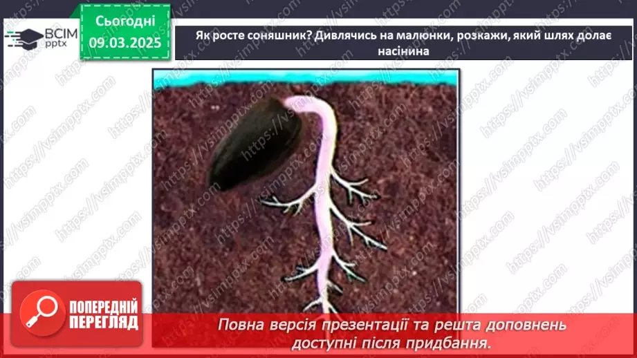 №076 - Як росте і розвивається рослина з насінини. ст.67-6923