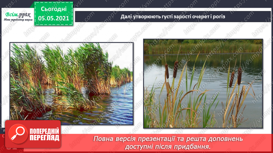 №052 - Природне угруповання — прісна водойма.11