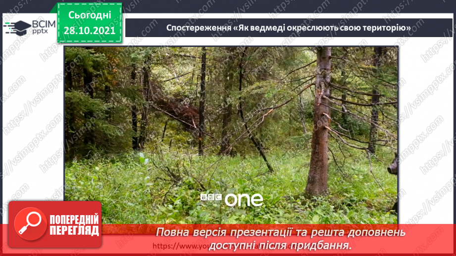 №033 - Де межі мого особистого простору? Створення схеми «Мій особистий простір».16 №033 - Де межі мого особистого простору? Створення схеми «Мій особистий простір».16