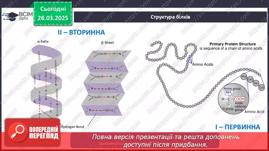 №29-30 - Білки.10 №29-30 - Білки.10
