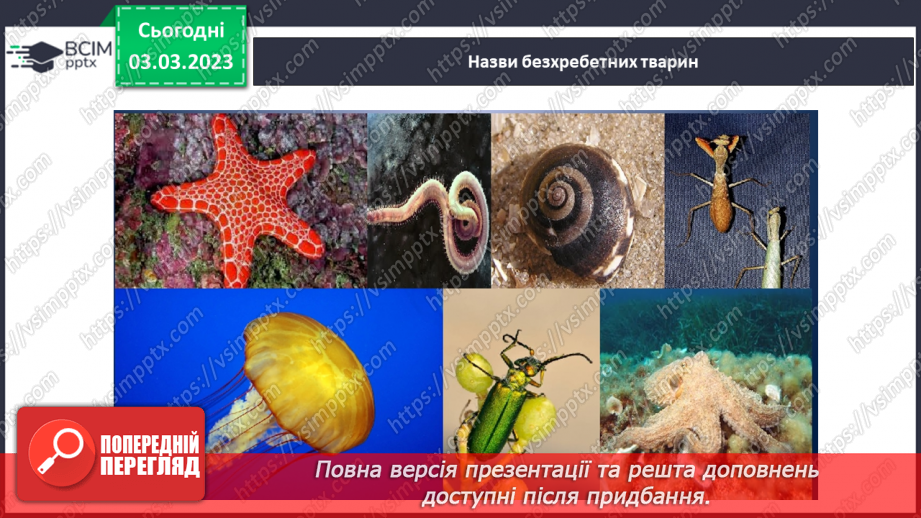 №51 - Узагальнення розділу «Клітини, бактерії, віруси, гриби, рослини і тварини».28