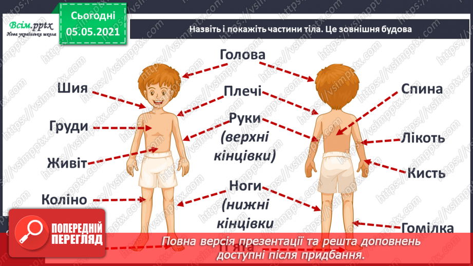 №057 - Людина. Організм людини17 №057 - Людина. Організм людини17