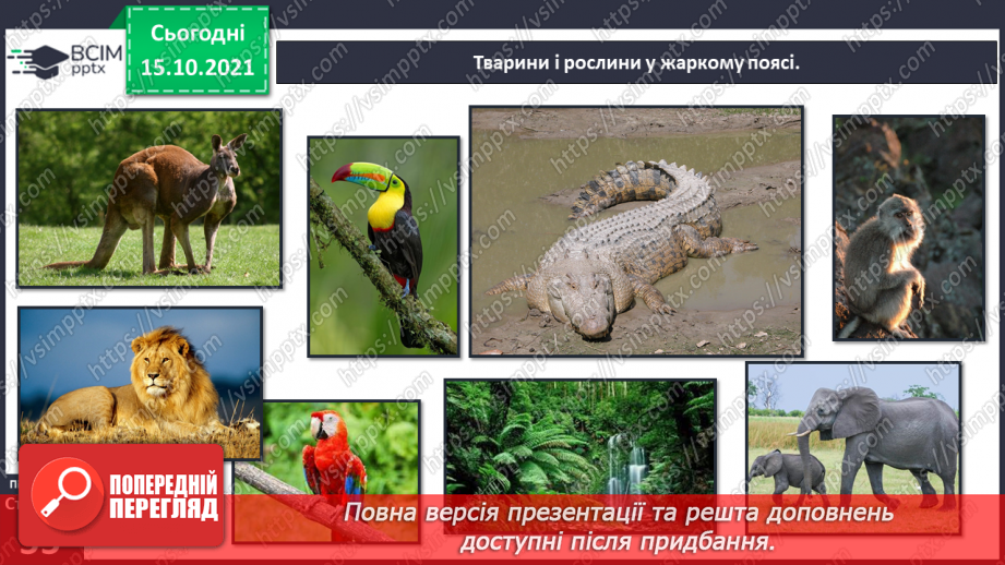 №026-28 - Рух Землі навколо Сонця. Теплові пояси19 №026-28 - Рух Землі навколо Сонця. Теплові пояси19