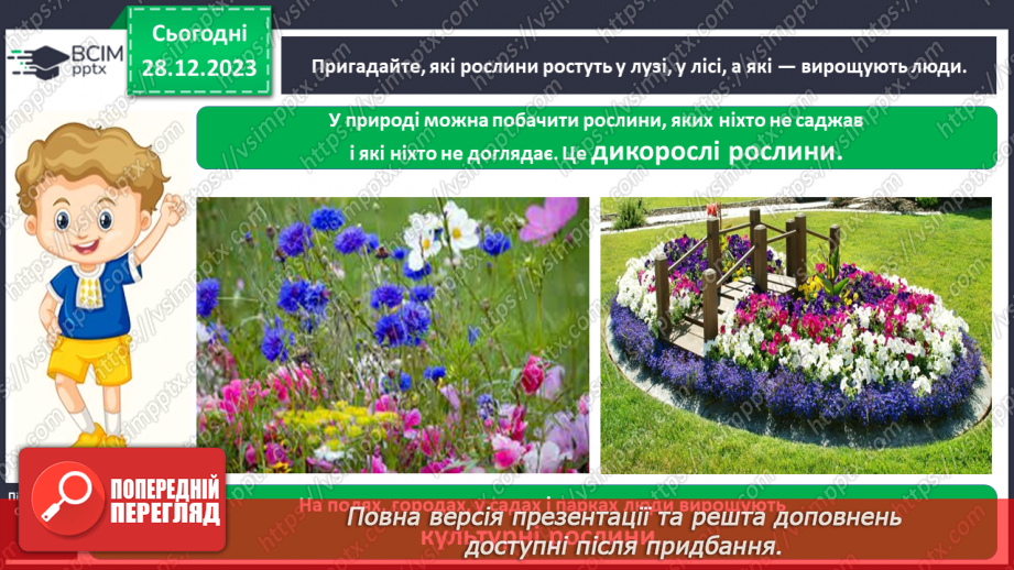 №053 - Які рослини дикорослі, а які культурні4 №053 - Які рослини дикорослі, а які культурні4