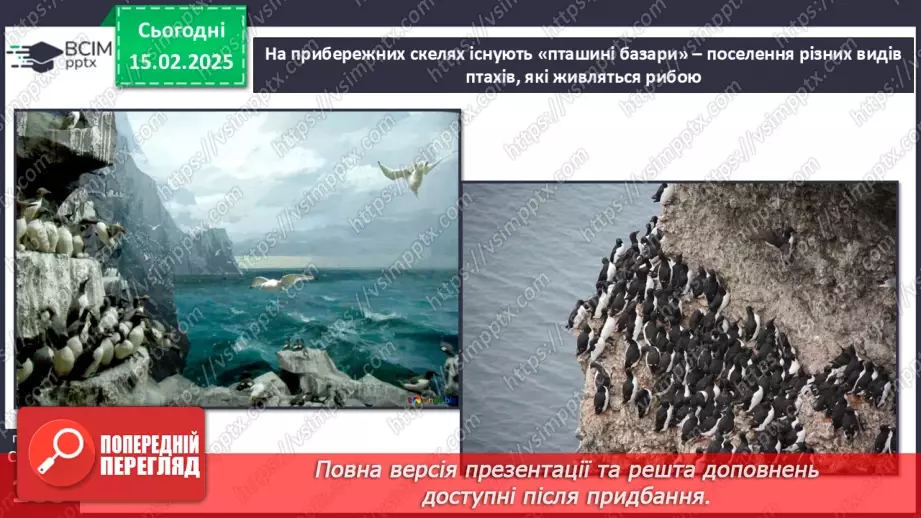 №46 - Природні зони Північної Америки. Арктичні пустелі. Тундра. Ліси помірного поясу.7