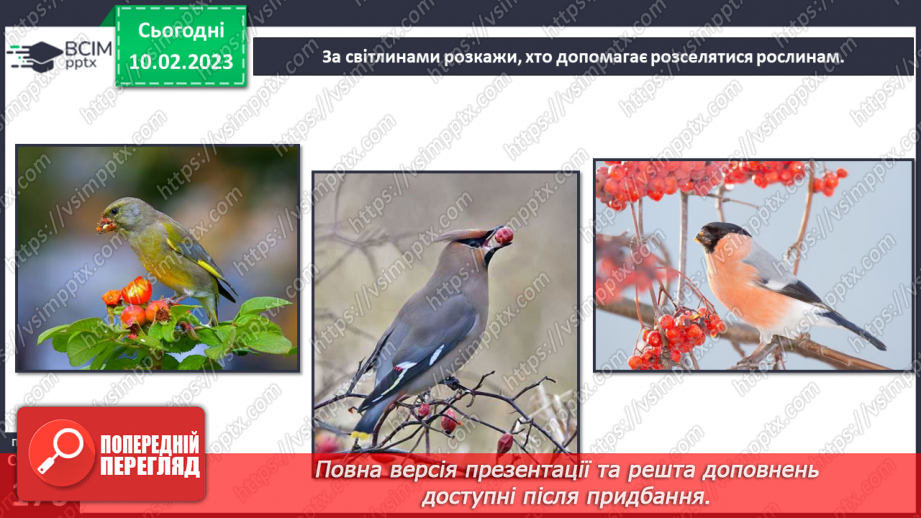 №45 - Пристосування до життя та різноманітність рослин. Секрети насінини.15