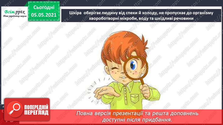 №053 - Функції шкіри. Практична робота.6 №053 - Функції шкіри. Практична робота.6