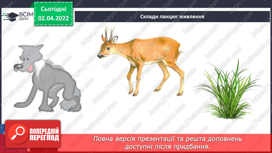 №082 - Українські Карпати28 №082 - Українські Карпати28