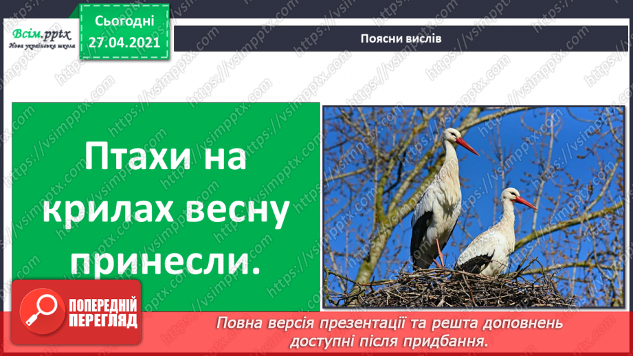 №062 - Кольорові сторінки природи: весна17