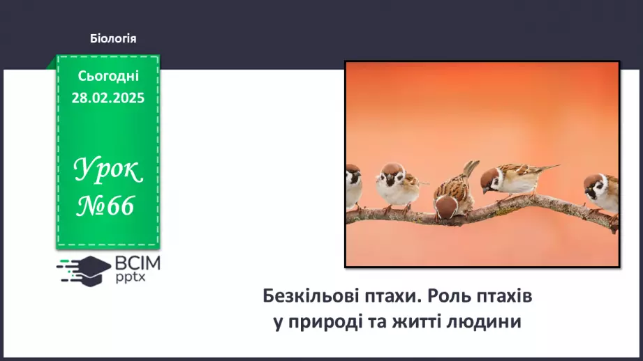 №66 - Безкільові птахи. Роль птахів у природі та житті людини.0
