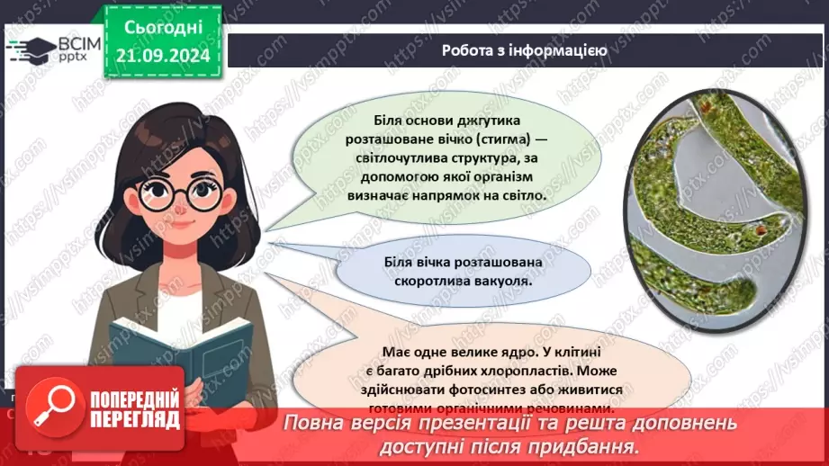 №13 - Особливості будови одноклітинних еукаріотів.11 №13 - Особливості будови одноклітинних еукаріотів.11