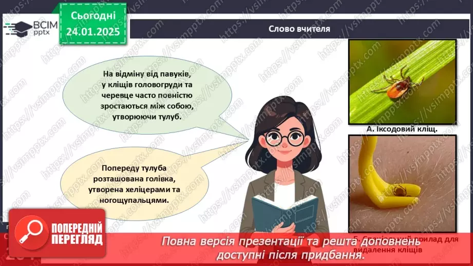 №58 - Павукоподібні.17