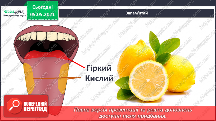 №085 - Орган смаку.15 №085 - Орган смаку.15