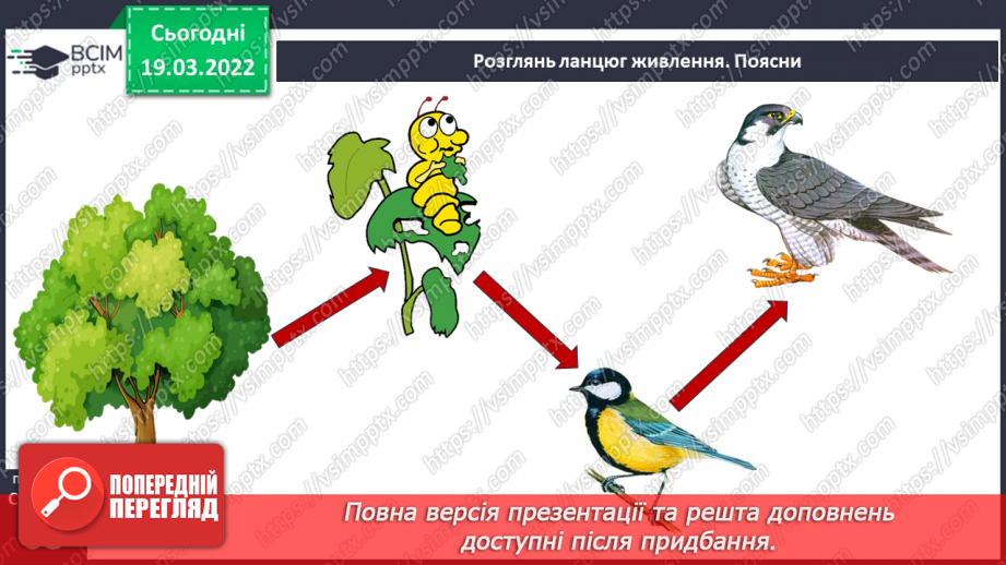 №078 - Природні зони України. Мішані та широколисті ліси.20 №078 - Природні зони України. Мішані та широколисті ліси.20