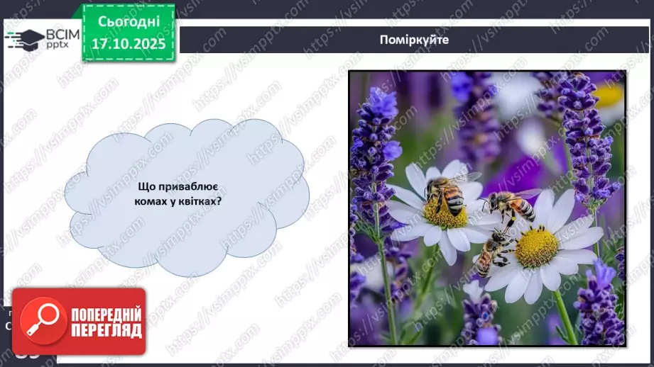 №025 - Покритонасінні рослини: пристосування до життя на суходолі, суцвіття, запилення й запліднення.24 №025 - Покритонасінні рослини: пристосування до життя на суходолі, суцвіття, запилення й запліднення.24