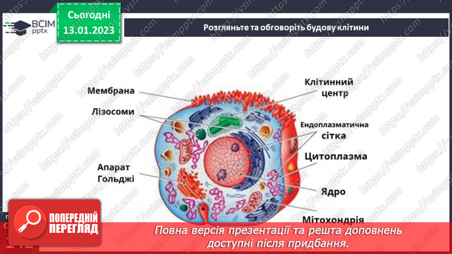 №38 - Організми та їх властивості. Методи дослідження організмів. Висівання і пророщування квасолі.16