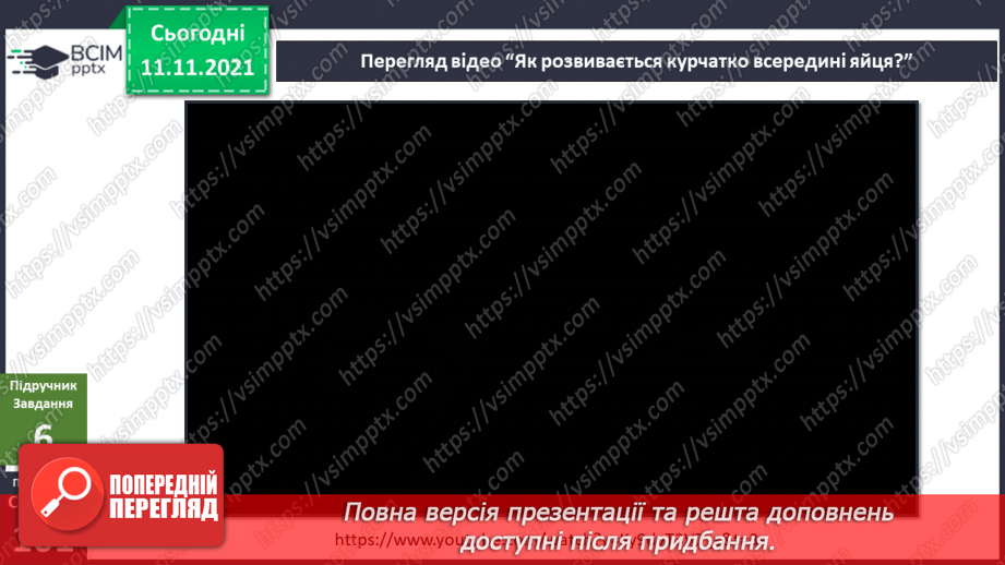 №034 - Чим цікаве яйце? Дослідження: «Історія одного яйця».13 №034 - Чим цікаве яйце? Дослідження: «Історія одного яйця».13