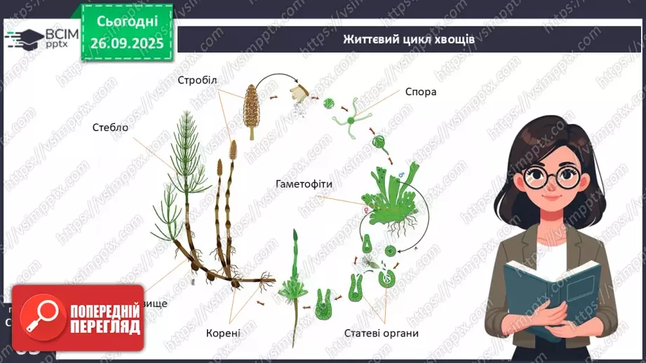 №018 - Вищі спорові рослини: папороті та хвощі. Їхнє значення в екосистемах і використання.20 №018 - Вищі спорові рослини: папороті та хвощі. Їхнє значення в екосистемах і використання.20