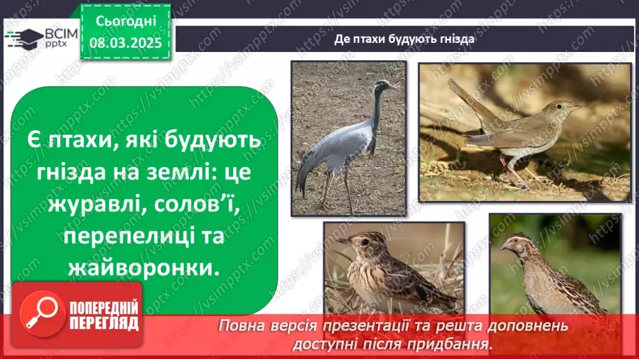 №0076 - Чому птахи в’ють гнізда24 №0076 - Чому птахи в’ють гнізда24