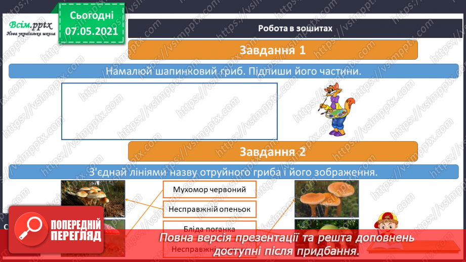 №042 - Яке значення грибів для природи16