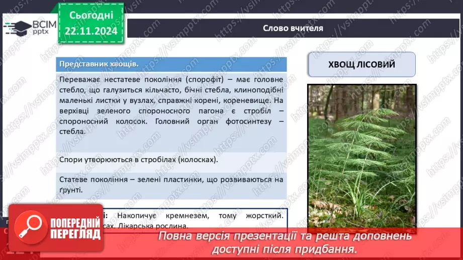 №38 - Узагальнювальні дослідницькі завдання.11