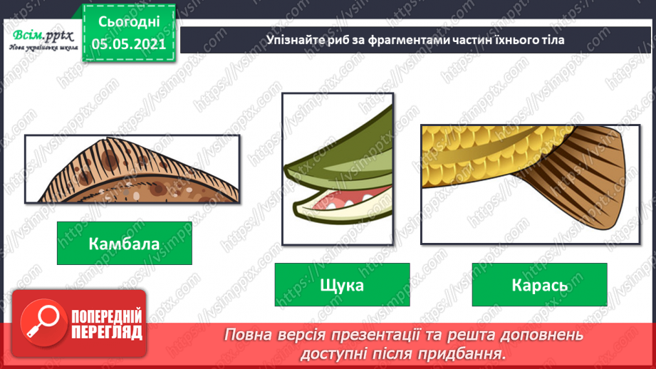 №041 - Риби.22