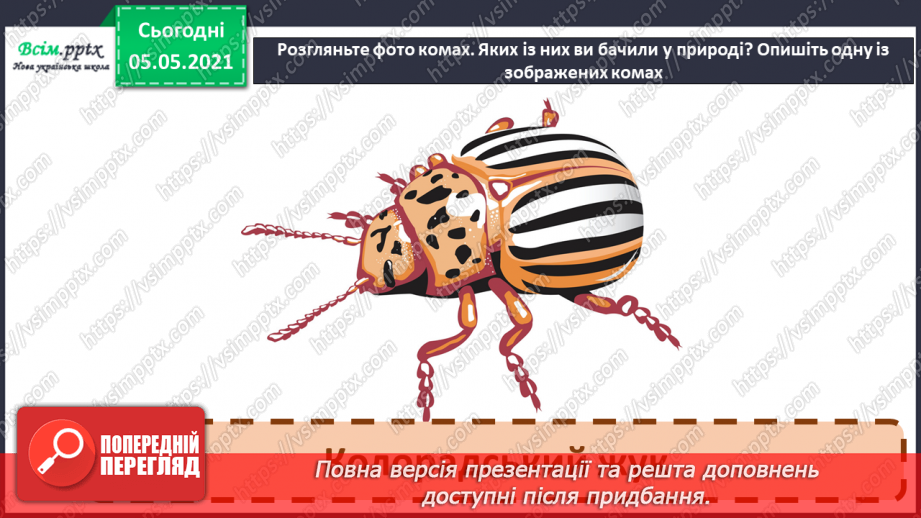 №041 - Різноманітність тварин у природі. Комахи8 №041 - Різноманітність тварин у природі. Комахи8