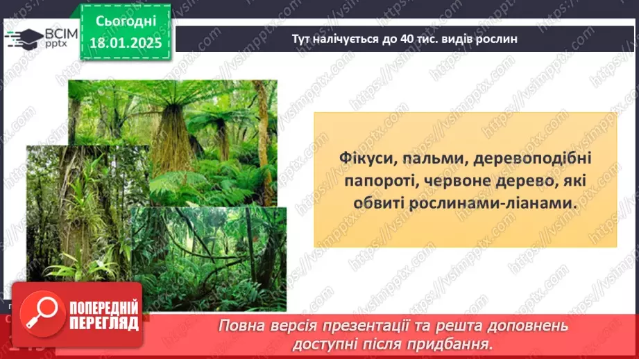 №37 - У чому особливість природних зон Південної Америки.6