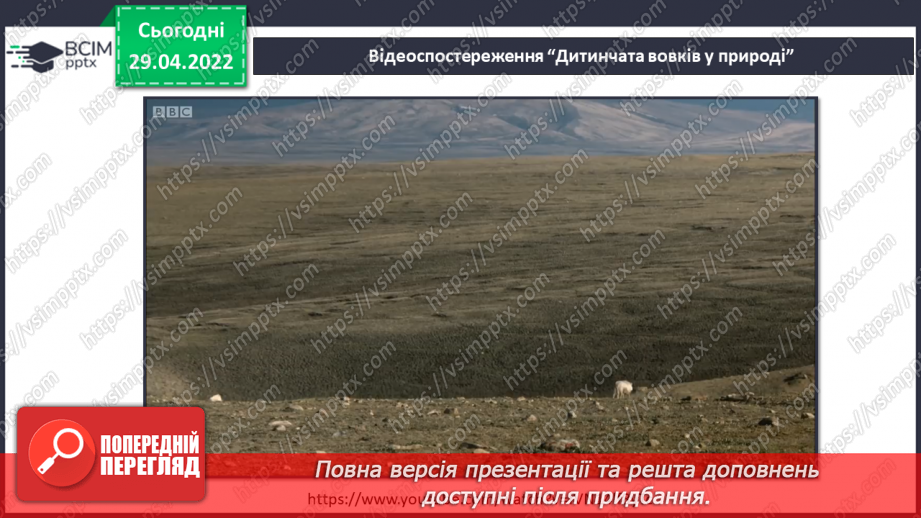 №100 - В. Читай «Про вовка Криво лапка та братиків-кабанів»17 №100 - В. Читай «Про вовка Криво лапка та братиків-кабанів»17
