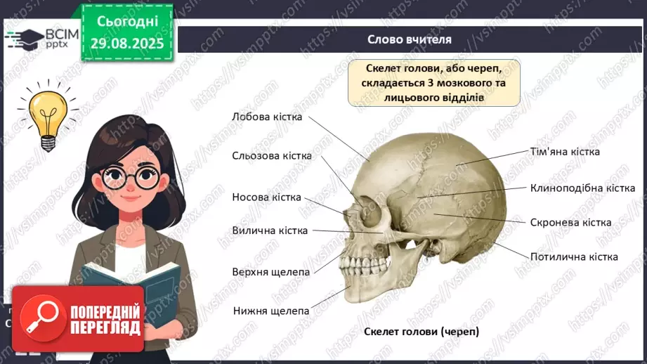 №005 - Будова, функції та особливості скелета людини.15 №005 - Будова, функції та особливості скелета людини.15