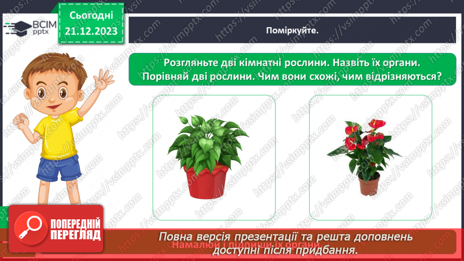 №050 - Яка будова рослин21 №050 - Яка будова рослин21