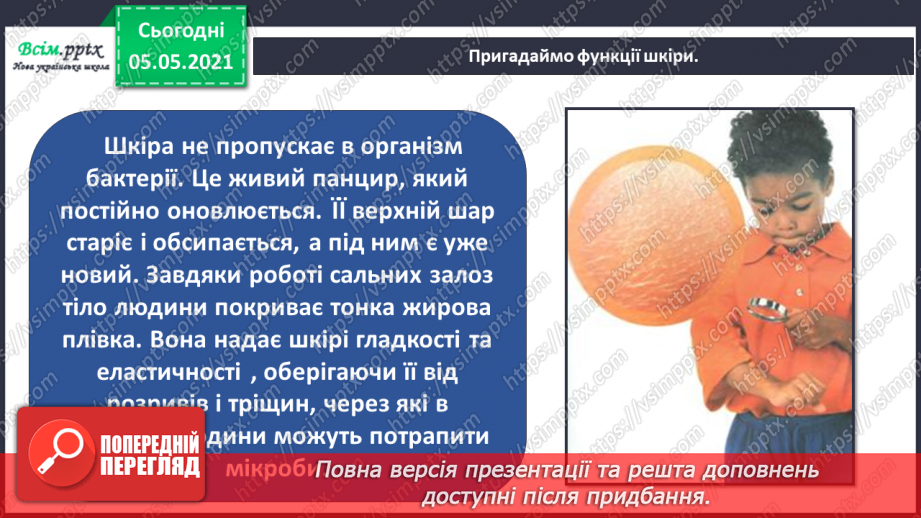№087 - Орган дотику.16