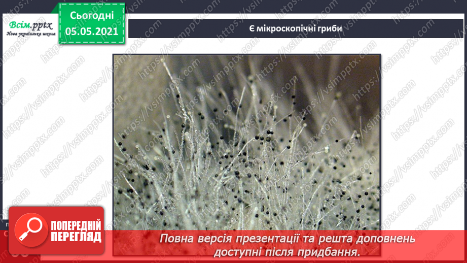 №037 - Значення грибів.13 №037 - Значення грибів.13