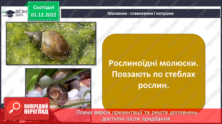 №048 - Мешканці океанів та прісних водойм.22