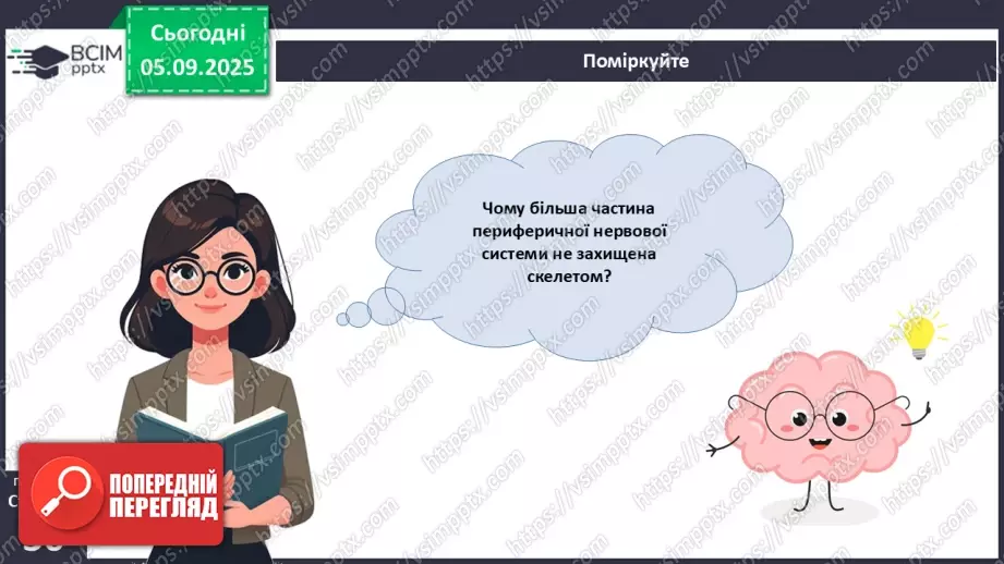 №008 - Будова нервової системи29 №008 - Будова нервової системи29