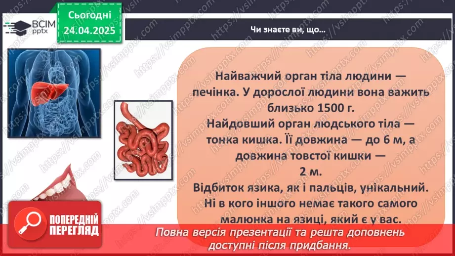 №096 - Травна система. Здорове харчування. ст.137-13923
