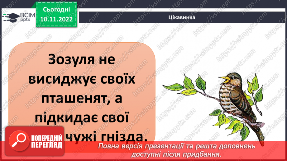 №037 - Як класифікують тварин. Властивості ссавців і птахів.30 №037 - Як класифікують тварин. Властивості ссавців і птахів.30