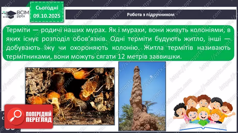 №024 - Комахи та звірі Кенії10 №024 - Комахи та звірі Кенії10