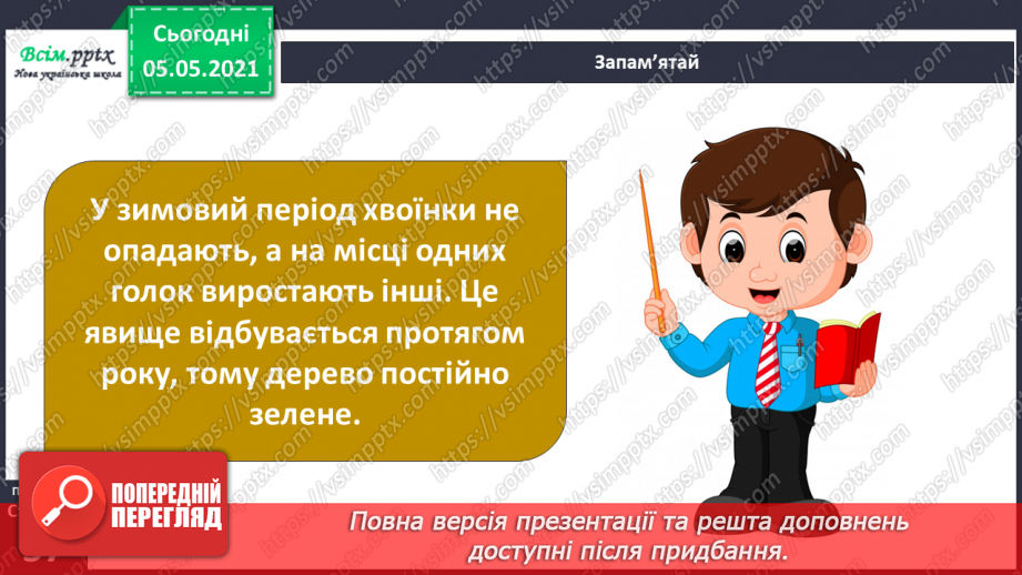 №035 - Хвойні рослини.14 №035 - Хвойні рослини.14