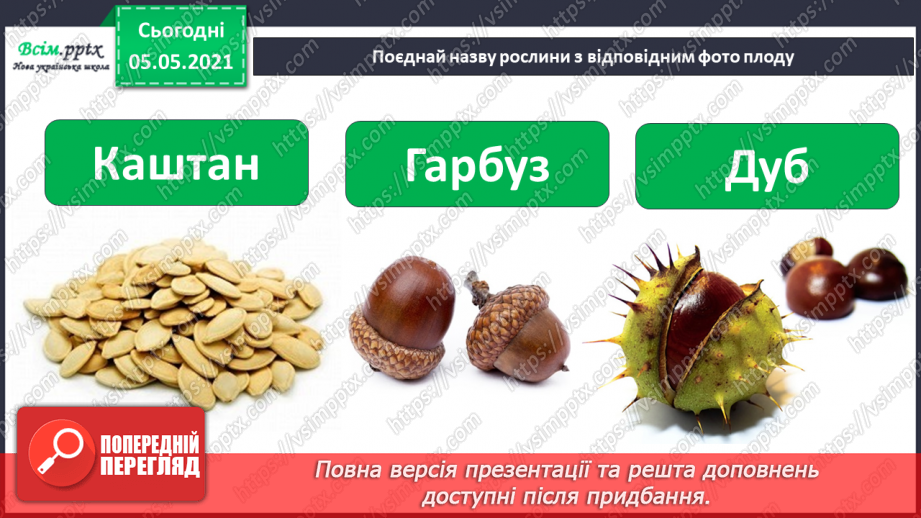 №030 - Рослини. Будова рослин27 №030 - Рослини. Будова рослин27