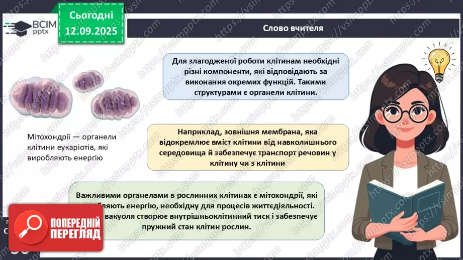 №011 - Особливості клітин рослин.24 №011 - Особливості клітин рослин.24