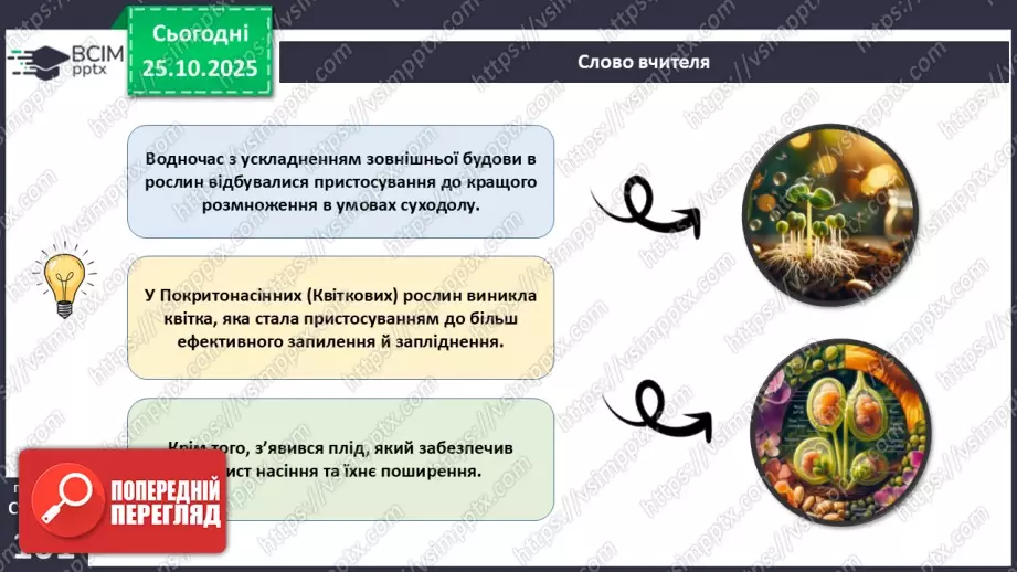 №029 - Загальний огляд еволюції рослин. Порівняння особливостей мохів, папоротей, голонасінних і покритонасінних рослин.8 №029 - Загальний огляд еволюції рослин. Порівняння особливостей мохів, папоротей, голонасінних і покритонасінних рослин.8