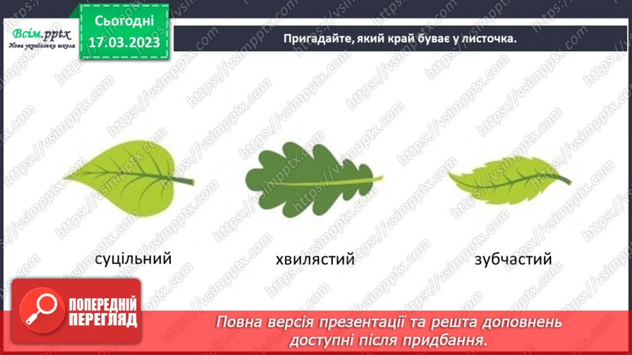 №28 - Живі листки на папері. Створення весняної листівки на тему «Бережімо природу»5 №28 - Живі листки на папері. Створення весняної листівки на тему «Бережімо природу»5